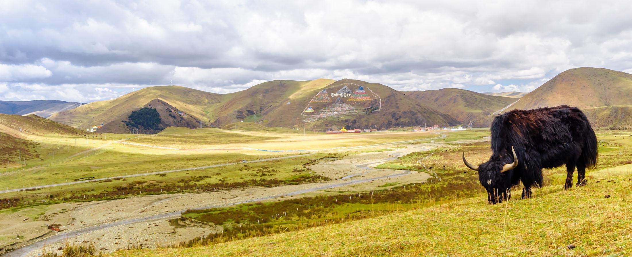 Kalung dan Sepatu di Depan Pintu